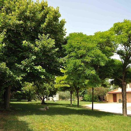 B&B La Posta Grottazzolina Kültér fotó